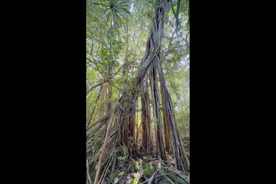 0 Kilika St unit 718096, Keaau, HI 96749 - photo 3