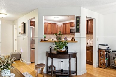 102 Chapman Place unit 102, Leominster, MA 01453 - photo 6