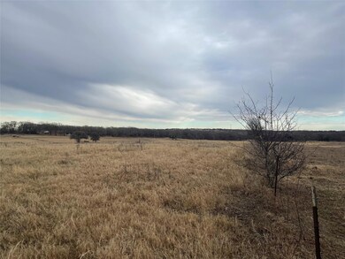 207 Robinson Rd, Weatherford, TX 76088 - photo 6