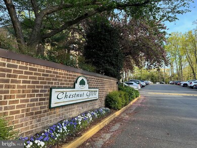 11208 Chestnut Grove Square unit 11208-111, Reston, VA 20190 - photo 4
