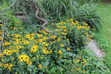 5416 Schultz Bridge Rd, Zionsville, PA 18092 - photo 3