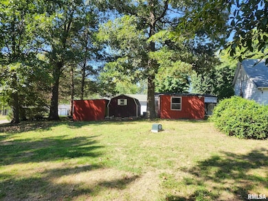 4760 Raleigh Rd, Eldorado, IL 62930 - photo 6