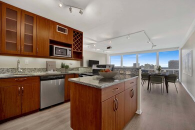 unlisted-address, Chicago, IL 60657 - photo 3