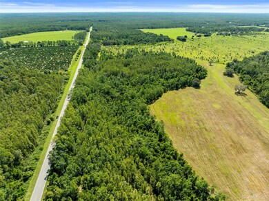 0 Deen Still Rd unit MFRO6337157, Polk City, FL 33868 - photo 5