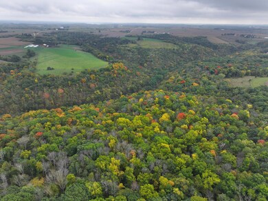 xxx 270th St, Norway Township, MN 55971 - photo 4