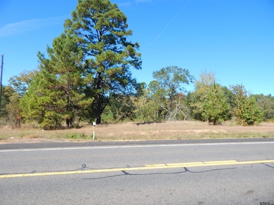 TBD 2 Acres Hwy 155, Gilmer, TX 75644 - photo 3