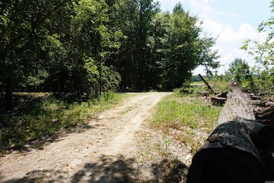 000 Stokes Rd, Bald Knob, AR 72010 - photo 7