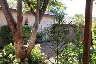 IMG_0563