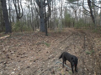 0 Pensyl Creek Rd unit PM-66319, Hamilton Township, PA 18360 - photo 6