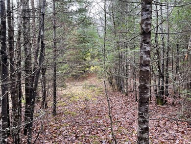 194 E Gulch Rd, Thorndike, ME 04986 - photo 4