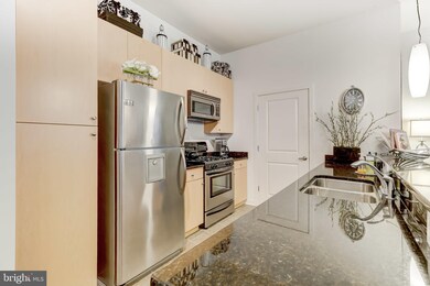 Twelve 09 unit 216, Baltimore, MD 21201 - photo 5