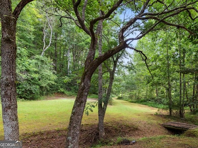 0 Duncan Bridge Rd unit 10645363, Cleveland, GA 30528 - photo 3