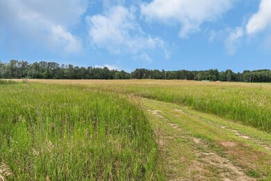 5118 County Road 85, Santiago Township, MN 55308 - photo 4