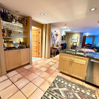 301 S Pine St unit 219, Telluride, CO 81435 - photo 2