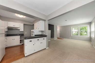 847 N Brainard St unit 1, Naperville, IL 60563 - photo 4