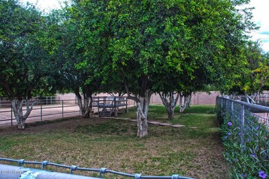 Yard 1