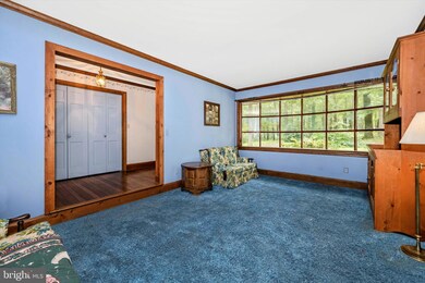 217 Obrecht Rd, Sykesville, MD 21784 - photo 6