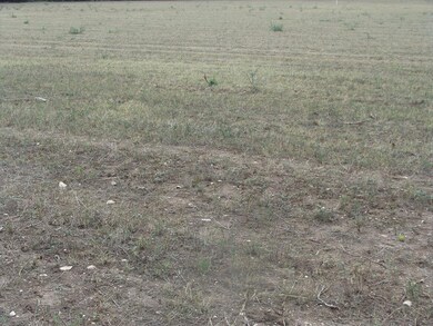 0 Armory Rd unit 4 74587, Fredericksburg, TX 78624 - photo 4