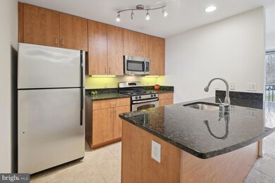 1136 Cove Rd unit 201, Annapolis, MD 21403 - photo 7