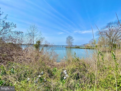 3 Riverwatch Ct unit 3, Essington, PA 19029 - photo 6