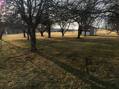 Yard/Garden. Orchard