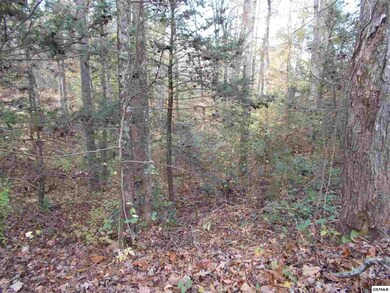 00 Holly Ln, Sevierville, TN 37876 - photo 6