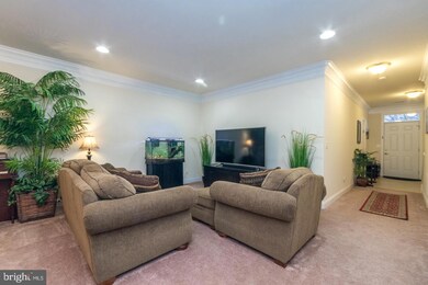 204 Cross Keys Place, Stephens City, VA 22655 - photo 5