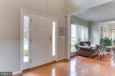 529 E Skyline Dr, Purcellville, VA 20132 - photo 6