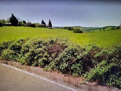 319 Laurel Dr, Jackson, CA 95642 - photo 2