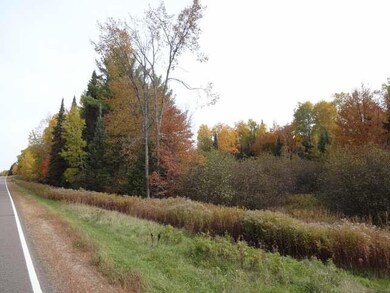 N9656 Cth T, Tomahawk, WI 54487 - photo 2