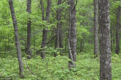 44863 State Highway 48, Hinckley, MN 55037 - photo 4