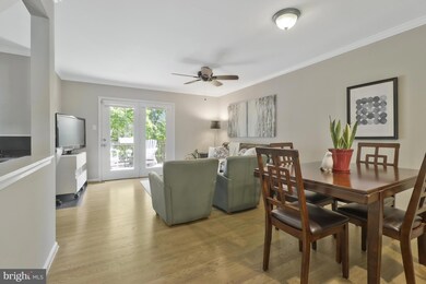 5012 9th St S, Arlington, VA 22204 - photo 6