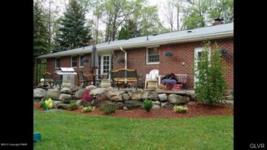 Back yard in summer