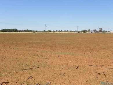 409 Humphrey Rd, Clovis, NM 88101 - photo 6