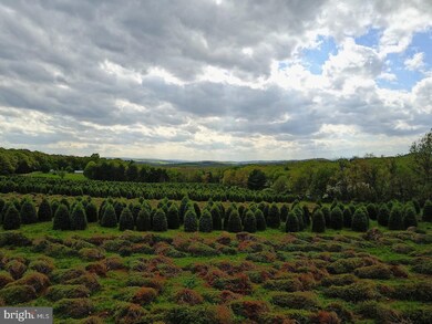 0 Sculps Hill Rd unit 1000282802, Auburn, PA 17922 - photo 2