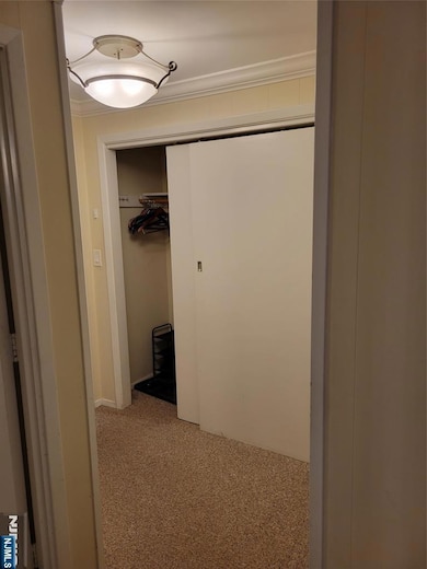 Apartment entry closet