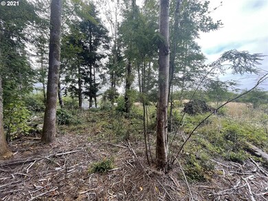 0 SE Port Dr unit 4000 21180842, Lincoln City, OR 97367 - photo 4