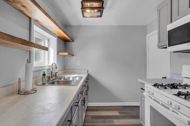 161 Elm St, Manitou Beach, MI 49253 - photo 4