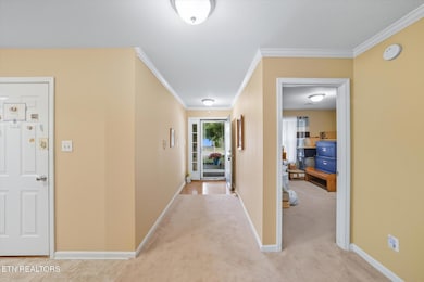 1652 Emerald Pointe Ln, Knoxville, TN 37918 - photo 4