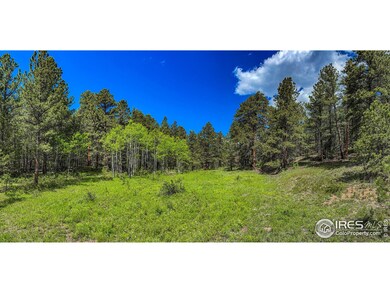 18673 Route 7, Lyons, CO 80540 - photo 6