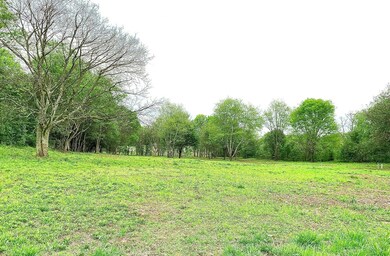 Front Left-Center View from Road