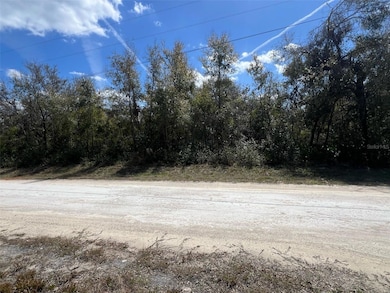 7143 Alloy St, Webster, FL 33597 - photo 2