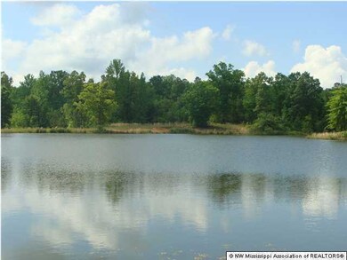 166 County Road 461, Oxford, MS 38655 - photo 6