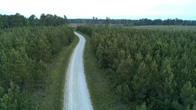 0 Moton Moore Rd unit 542113, McCormick, SC 29835 - photo 6