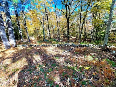 0 Rindge Turnpike, Ashburnham, MA 01430 - photo 7