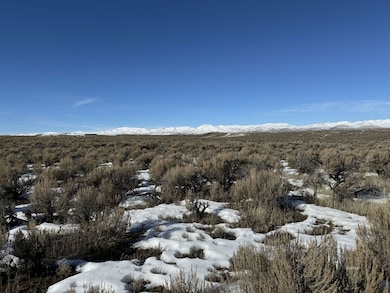 TBD Buchanan Ave, Elko, NV 89801 - photo 3