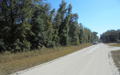 0 Suwannee Woodlands Ln, O'Brien, FL 32071 - photo 4