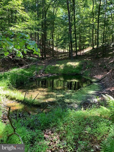 28 Timber Ridge Rd, Berkeley Springs, WV 25411 - photo 7