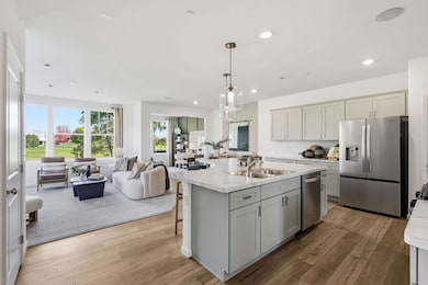 1977 Leiter Way unit 12003, Hoffman Estates, IL 60169 - photo 3