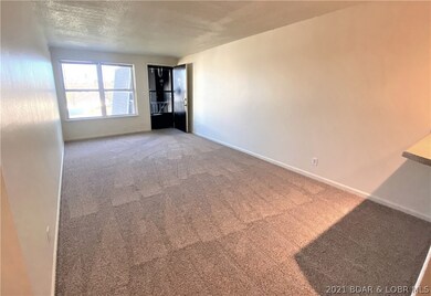 Living Room with NEW carpet